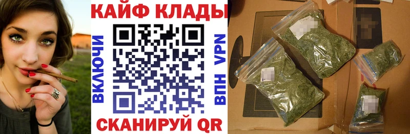 Где купить наркотики Кингисепп Галлюциногенные грибы  APVP  Гашиш  Мефедрон  Канабис 