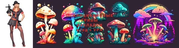 МДПВ Белая Калитва