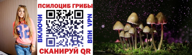 Псилоцибиновые грибы прущие грибы  Кингисепп 
