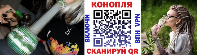 Конопля конопля  Кингисепп 